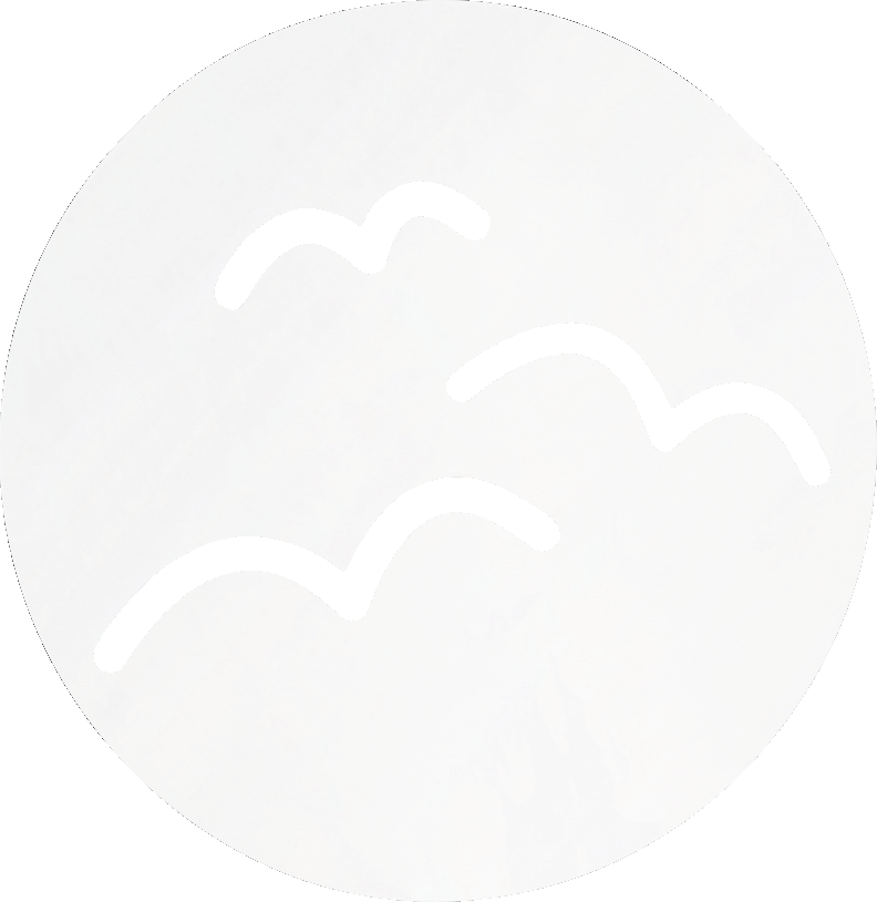 Boids Composer Icon